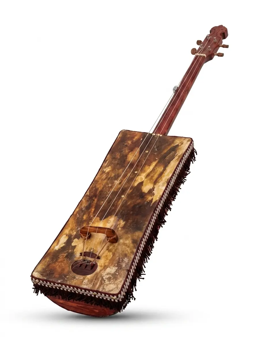 Professional gnawa guembri instrument handmade Morocco cedar wood
